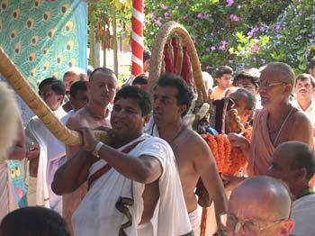 Palki Festival