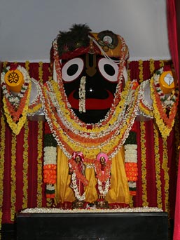 Janmastami Jagannatha