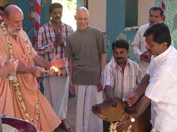 Go Puja (Cow Worship)