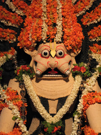 Narasimha