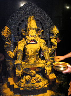 Narasimha tumeric