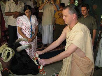 Govardhan Puja Govindaji Gardens