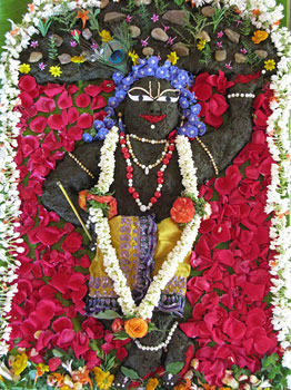 Govardhan Puja Govindaji Gardens