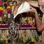 Janmastami 2009, Govindaji Gardens