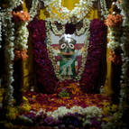 Ratha-Yatra in Govindaji Gardens - Photo 