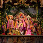 Gaura-Radha-Madhava on Radhastami