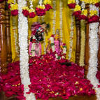 Sri Sri Radha-Govinda on Their Ratha