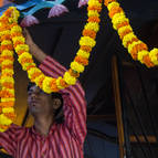 Gaura Purnima 2014 - Photo 