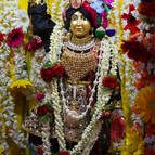 Mahaprabhu on the ratha