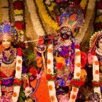 Sri Krsna Janmastami 2016 - Photo 