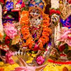 Sri Krsna Janmastami 2016 - Photo 