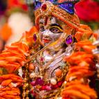 Sri Krsna Janmastami 2016 - Photo 