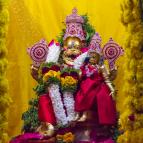 Narasimha Caturdasi 2017 - Photo 