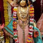 Gaura Purnima 2022 - Photo 