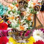 Gaura Purnima 2022 - Photo 