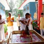 Govardhan Puja 2022 - Photo 